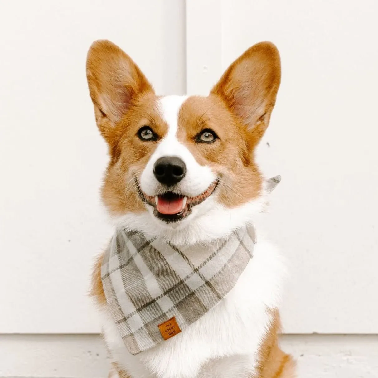 Andover Plaid Flannel Dog Bandana