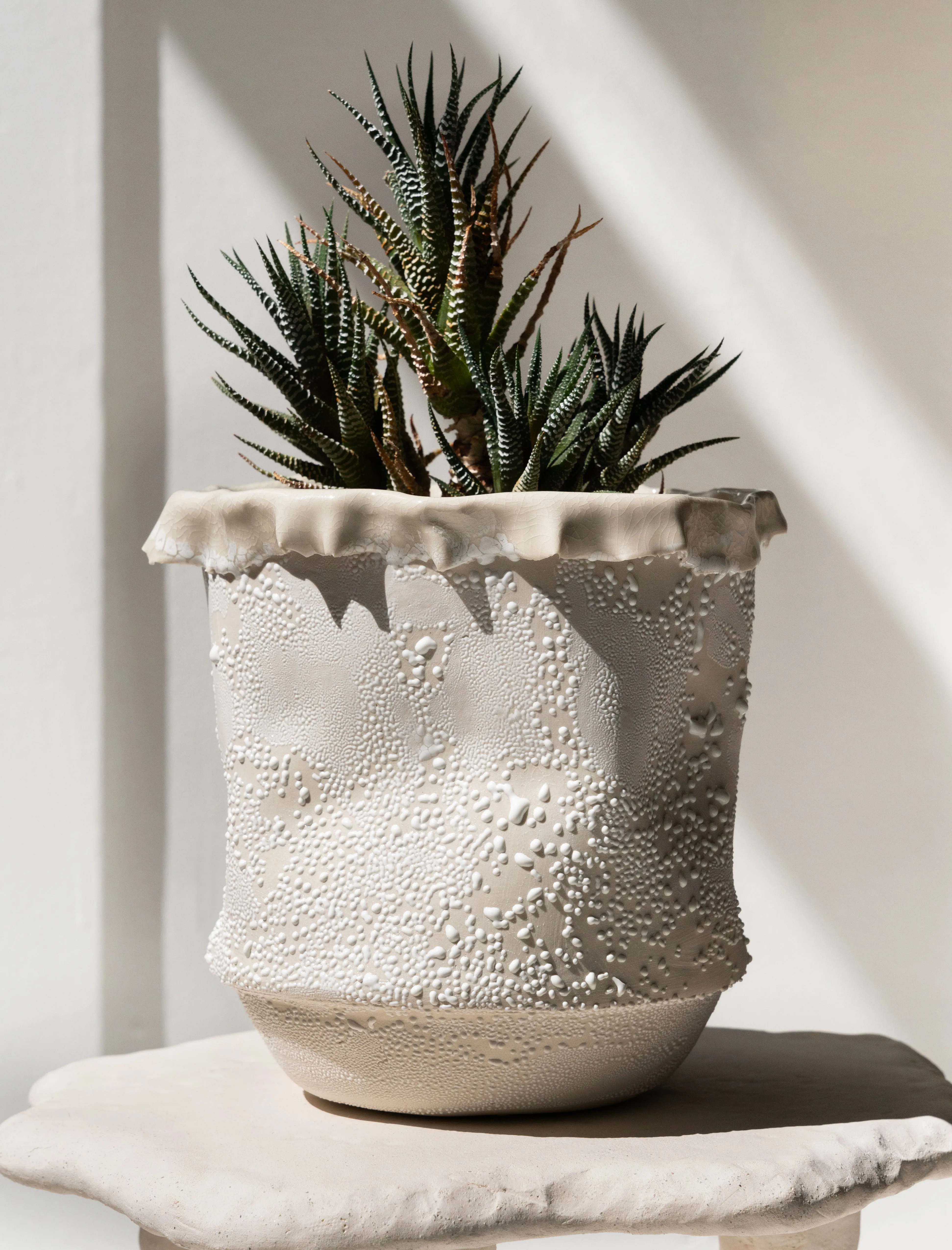 Bag Planter White Lichen