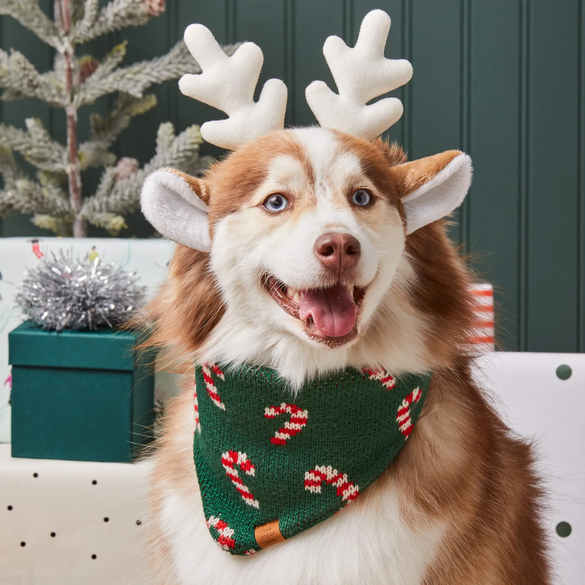 Candy Canes Knit Dog Bandana