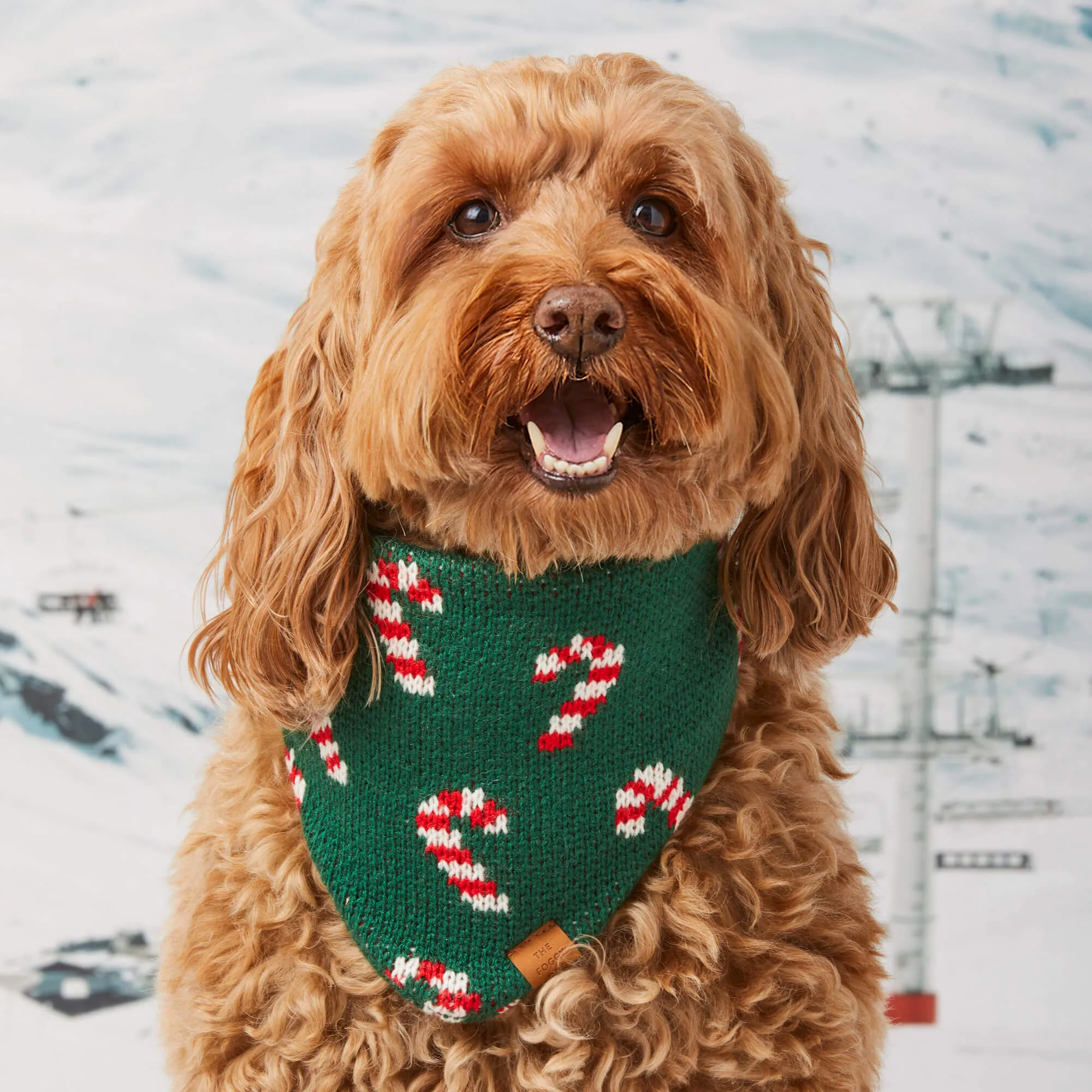 Candy Canes Knit Dog Bandana