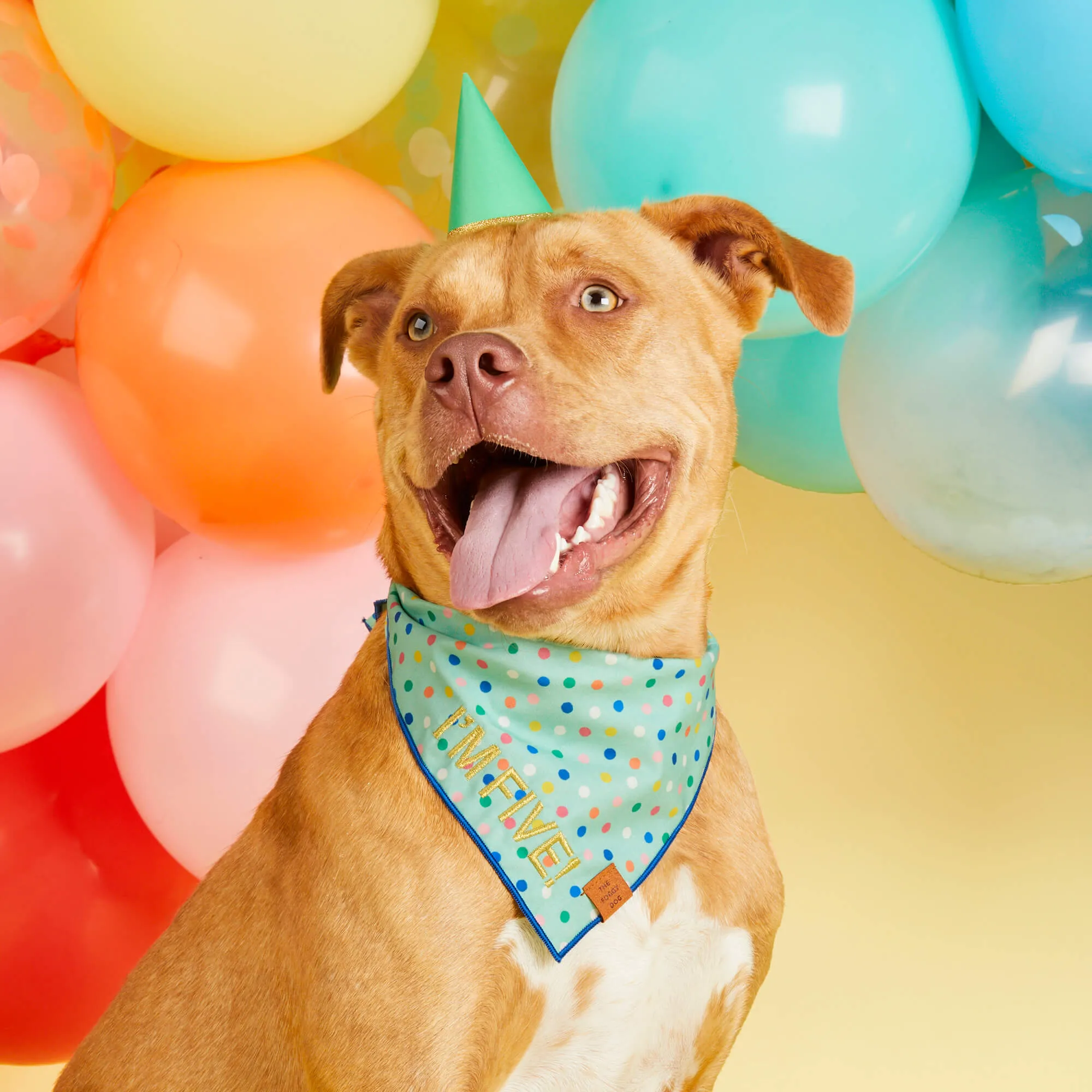 Confetti Dots Dog Bandana