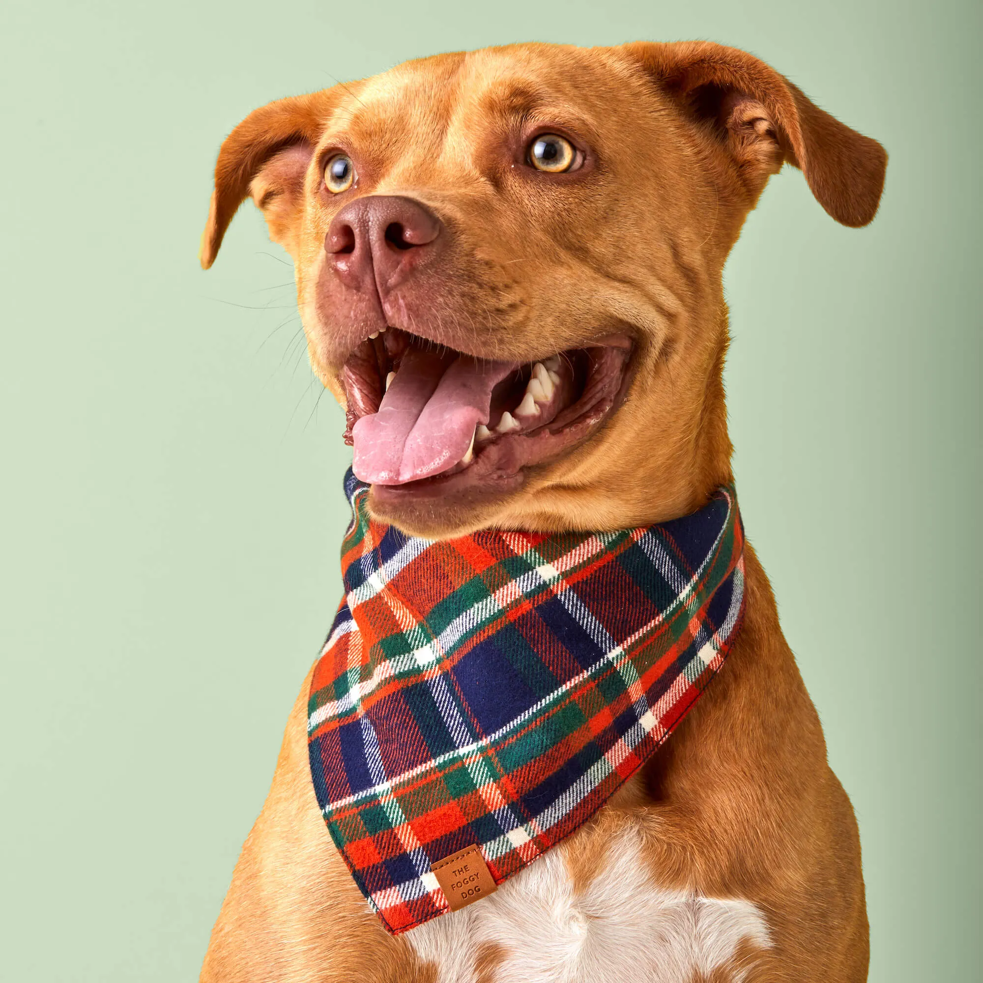 Dakota Plaid Flannel Dog Bandana