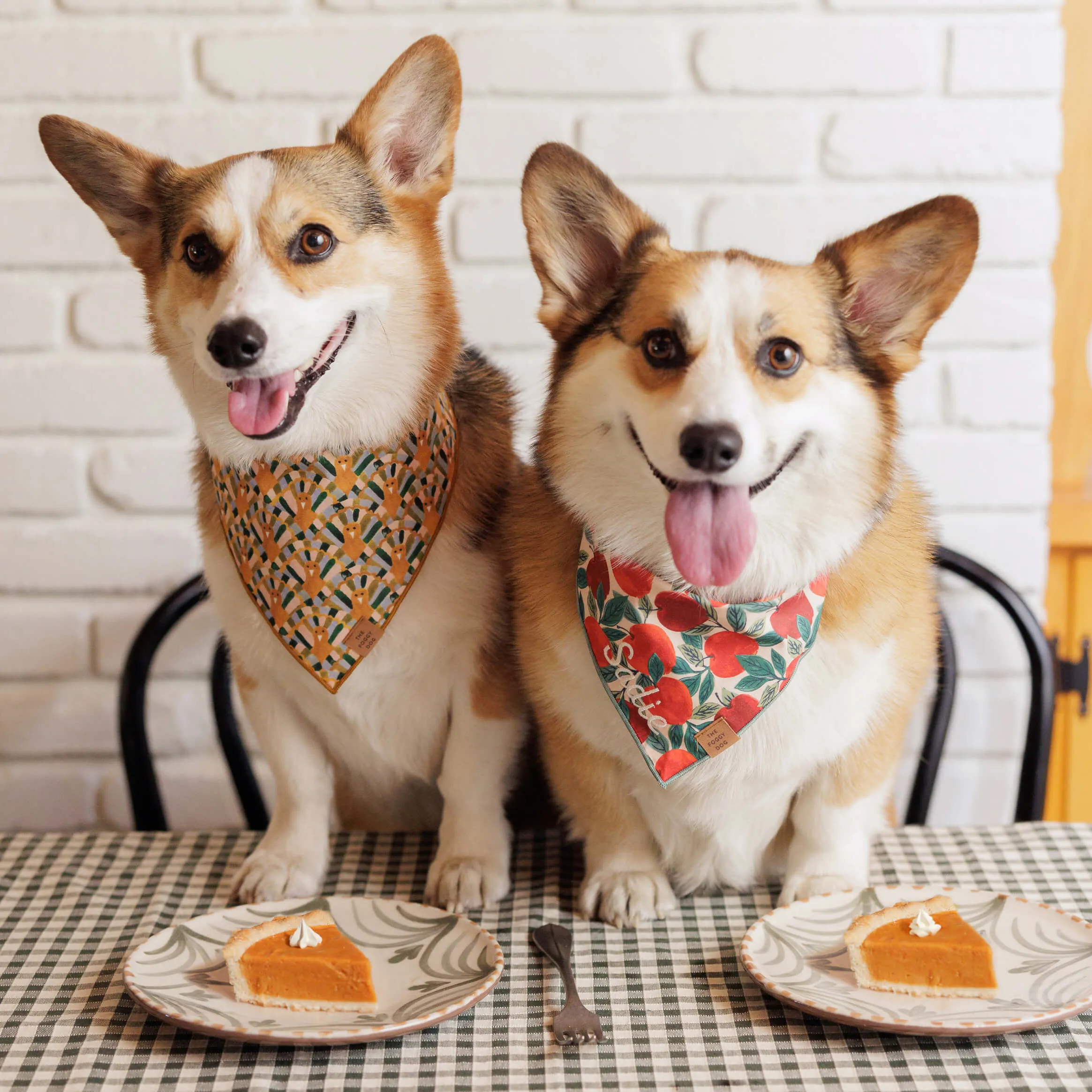 Gobble Gobble Dog Bandana