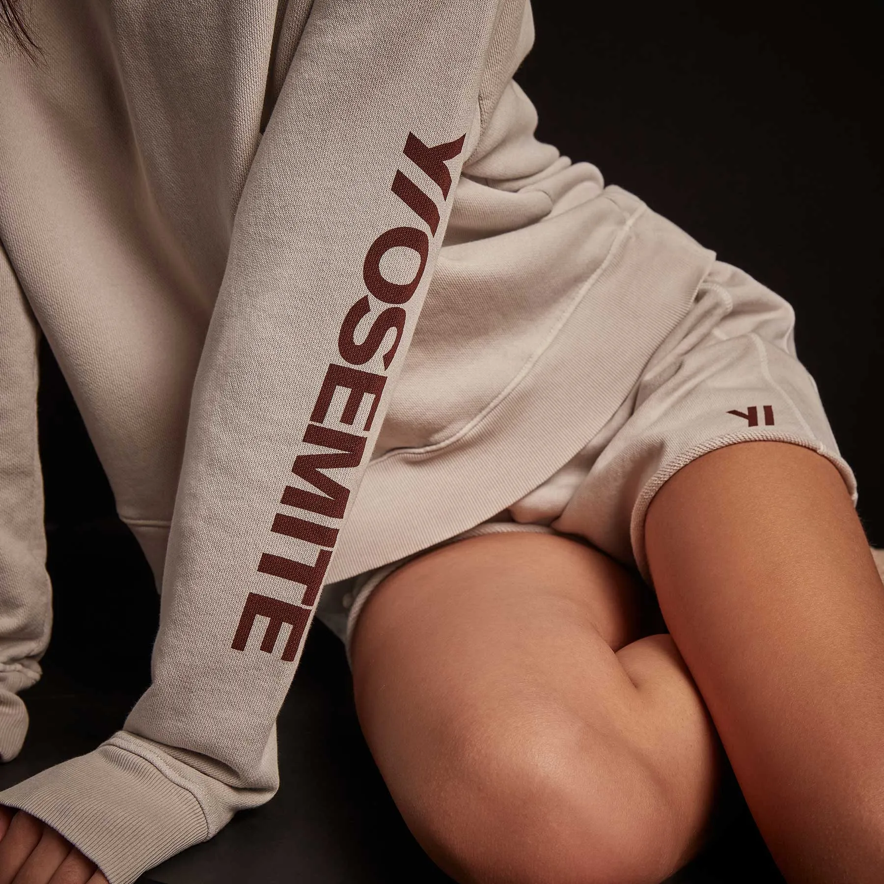 Graphic Pullover Hoodie - Pearl Pigment/Maroon