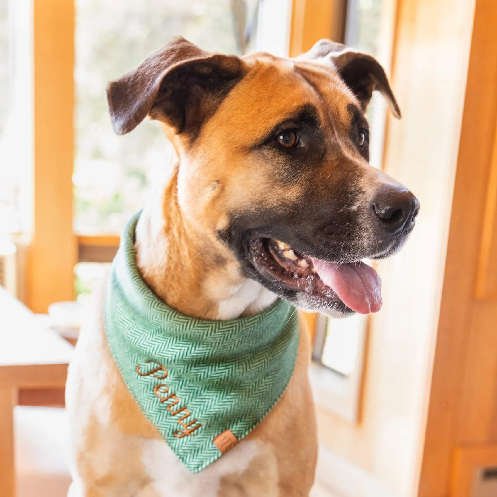 Green Herringbone Flannel Dog Bandana