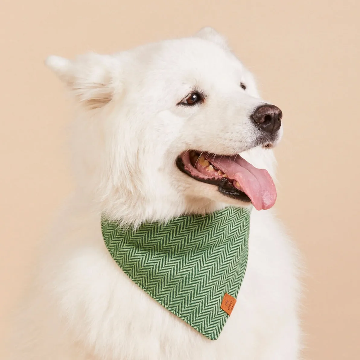 Green Herringbone Flannel Dog Bandana