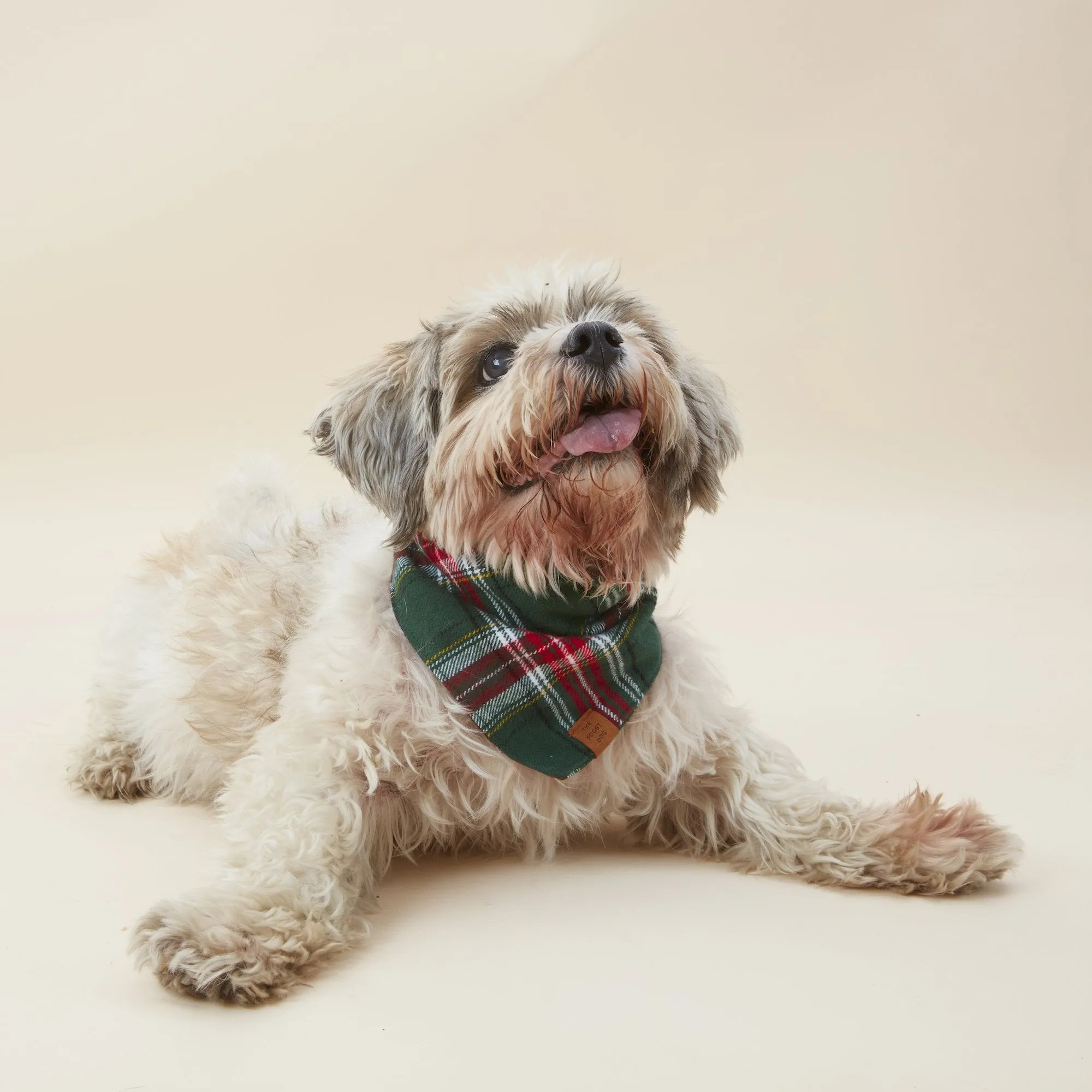 Holly Jolly Plaid Flannel Dog Bandana