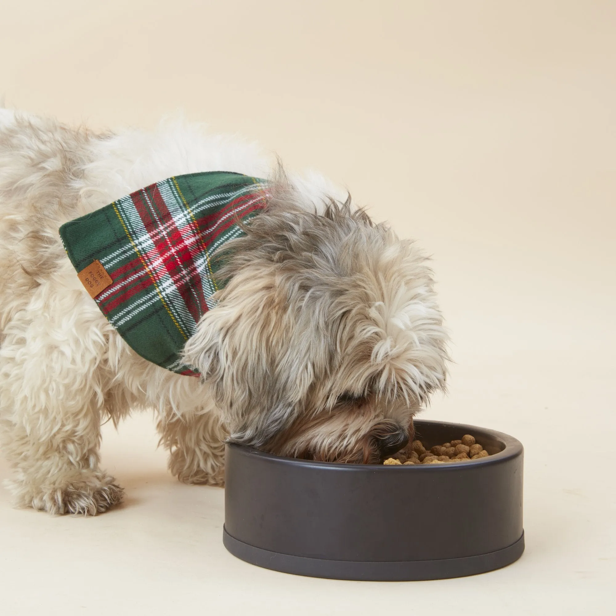 Holly Jolly Plaid Flannel Dog Bandana