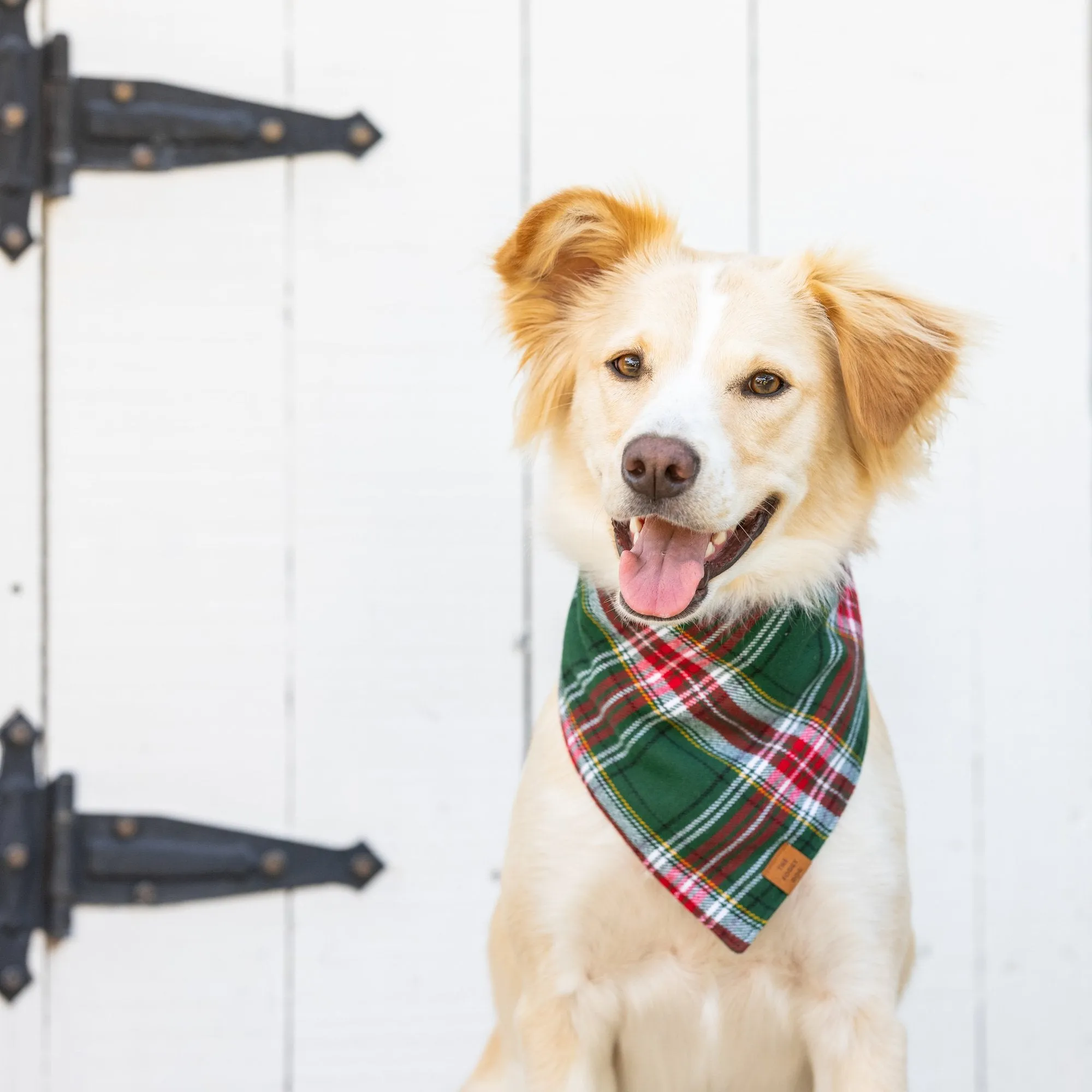 Holly Jolly Plaid Flannel Dog Bandana