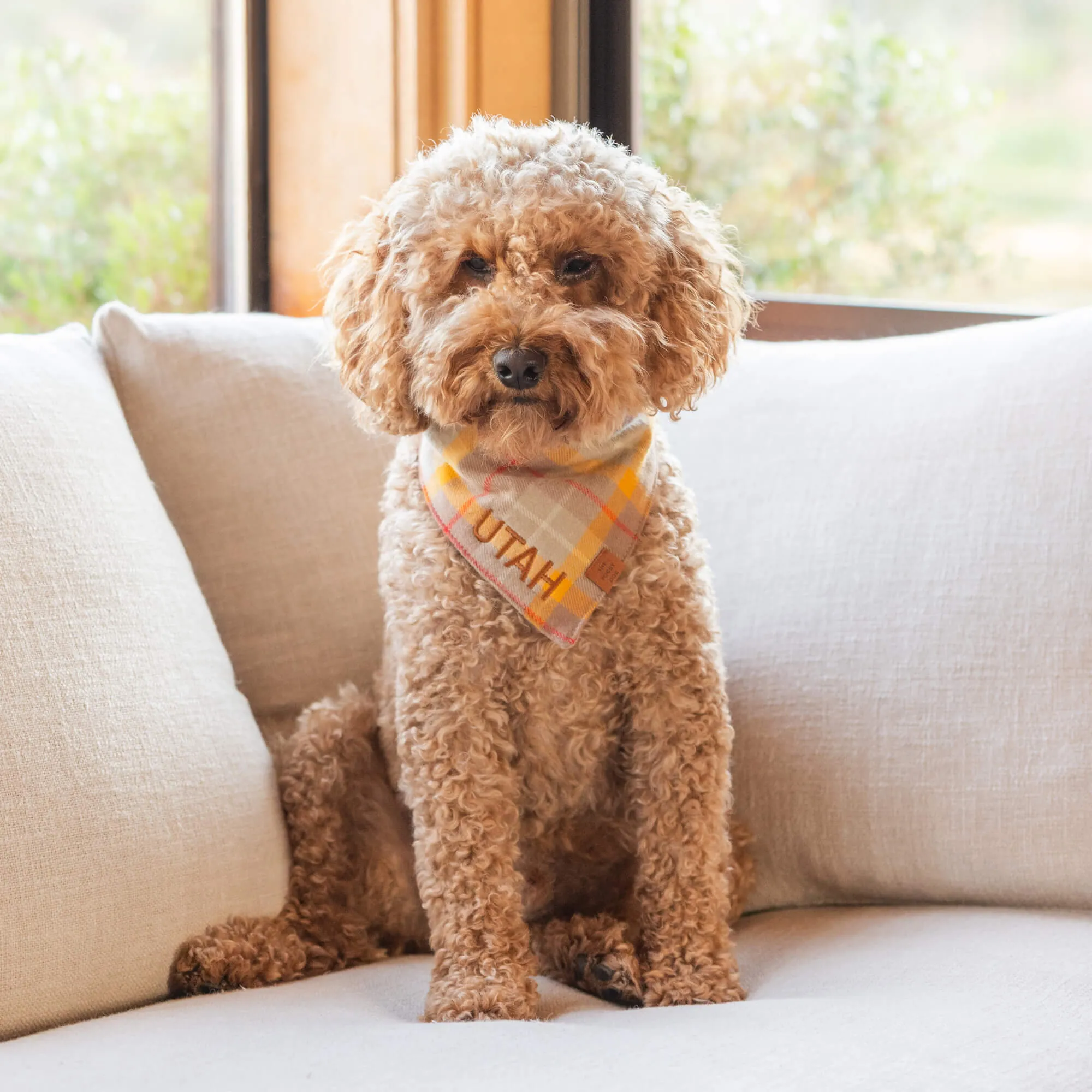 Mustard Plaid Flannel Dog Bandana