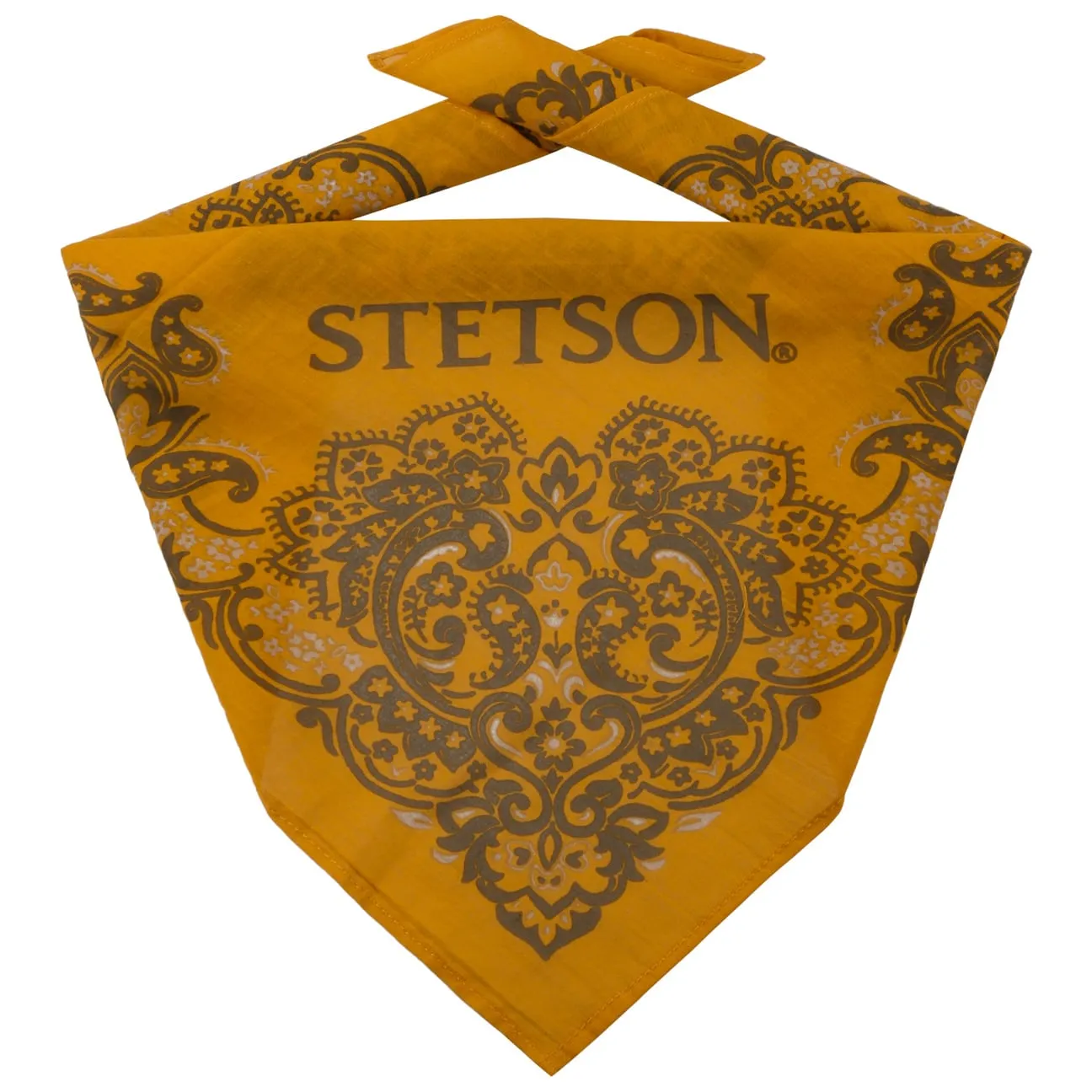 Paisley Bandana by Stetson