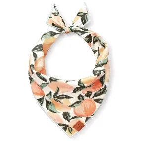 Peaches and Cream Dog Bandana