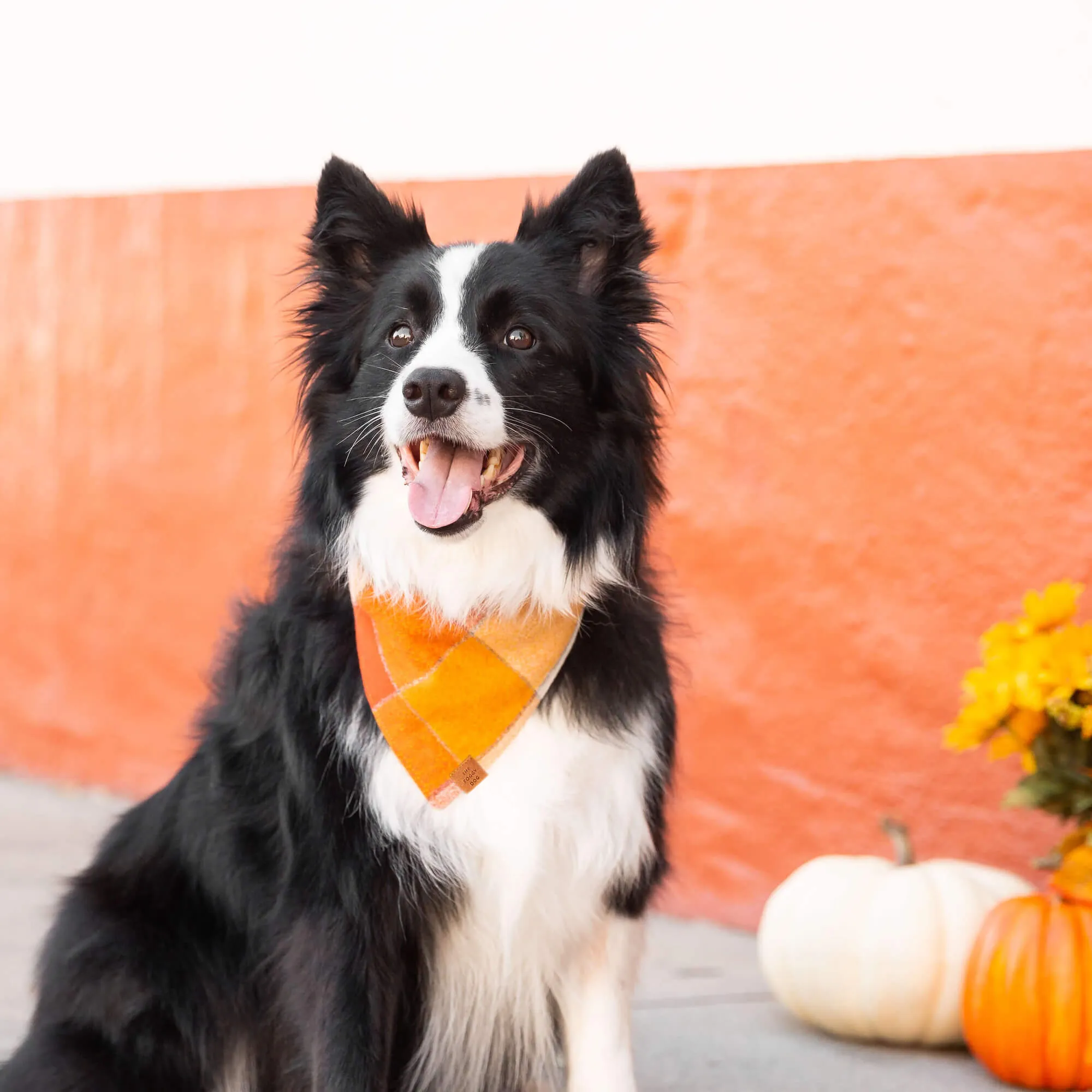 Pumpkin Spice Plaid Flannel Dog Bandana