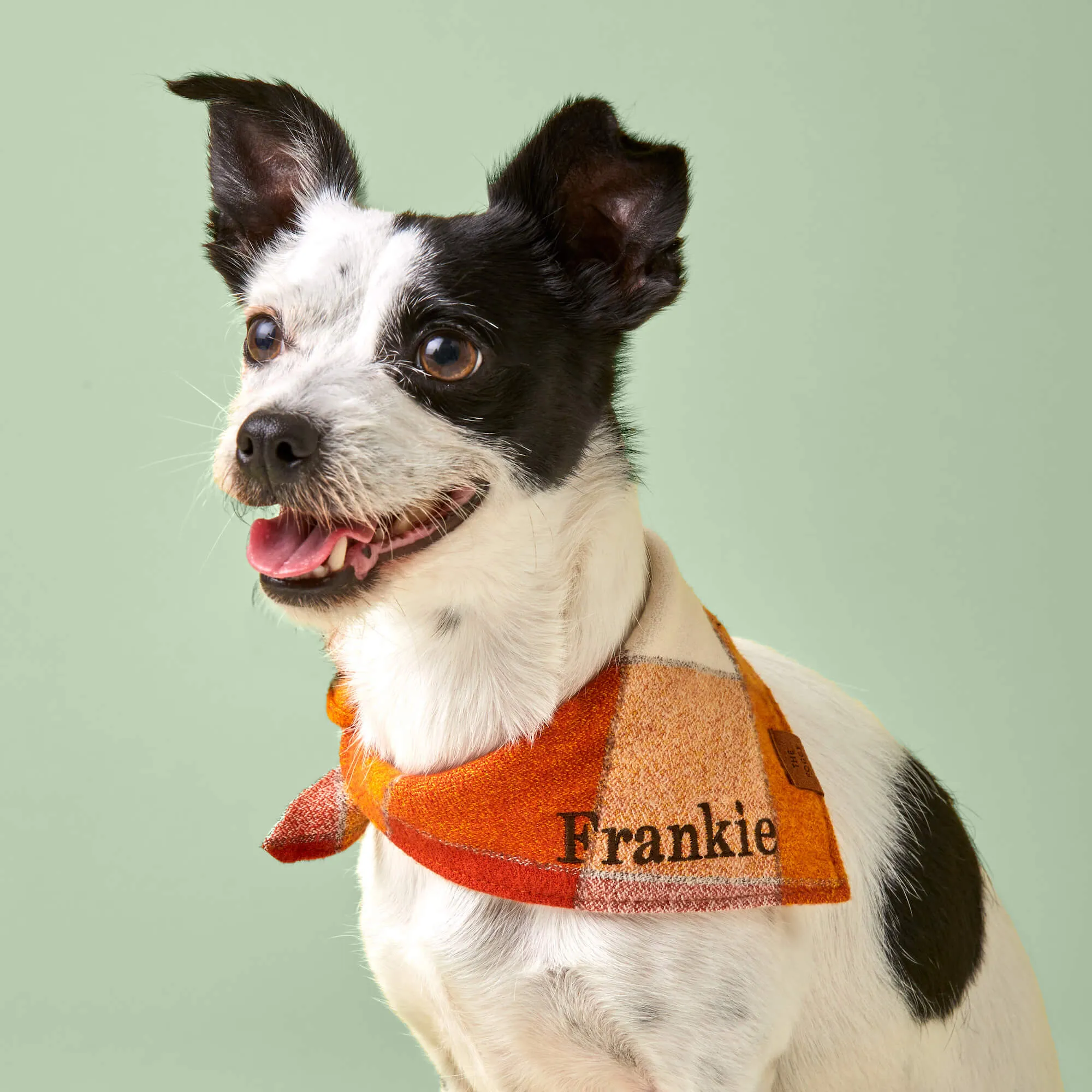 Pumpkin Spice Plaid Flannel Dog Bandana