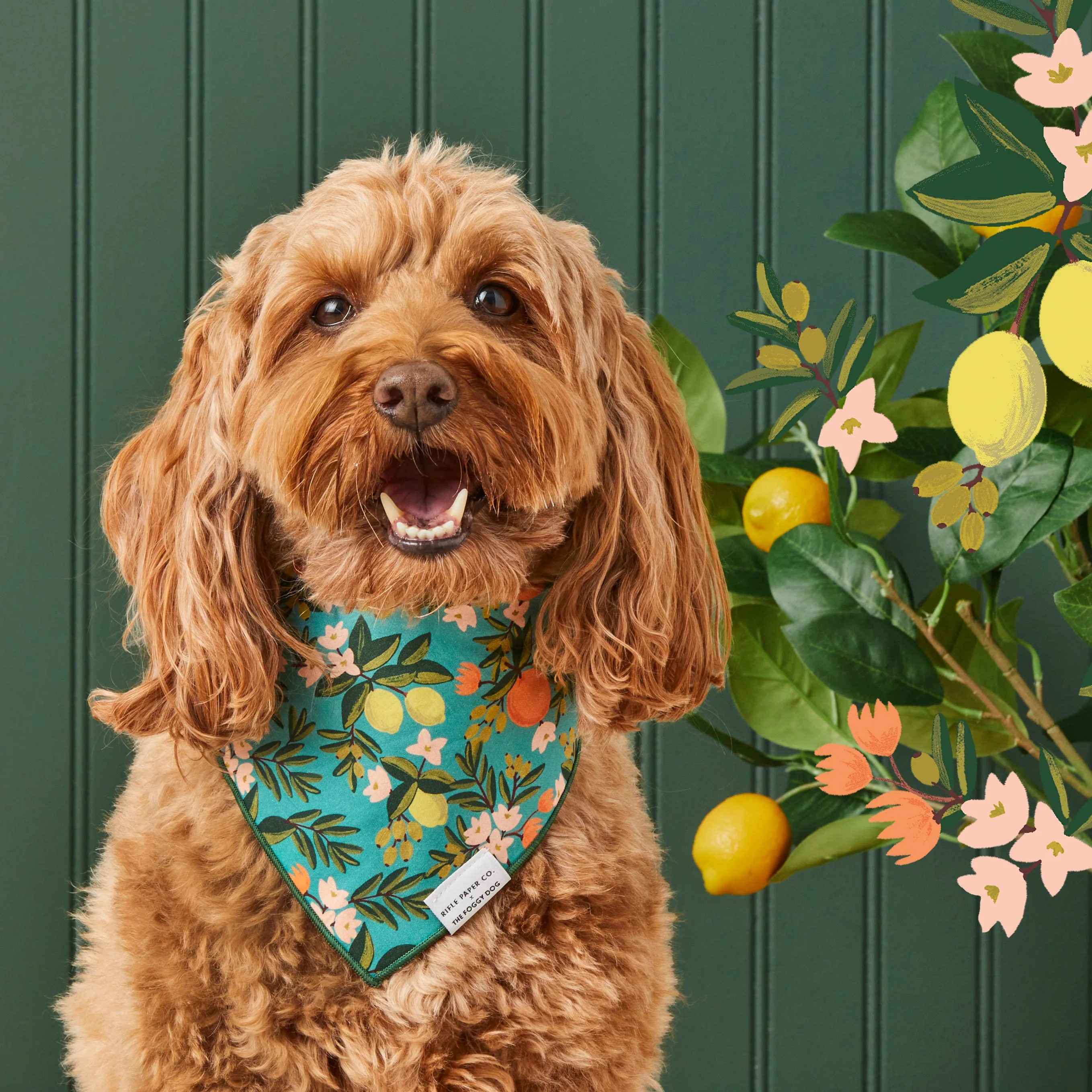 Rifle Paper Co. x TFD Citrus Floral Dog Bandana