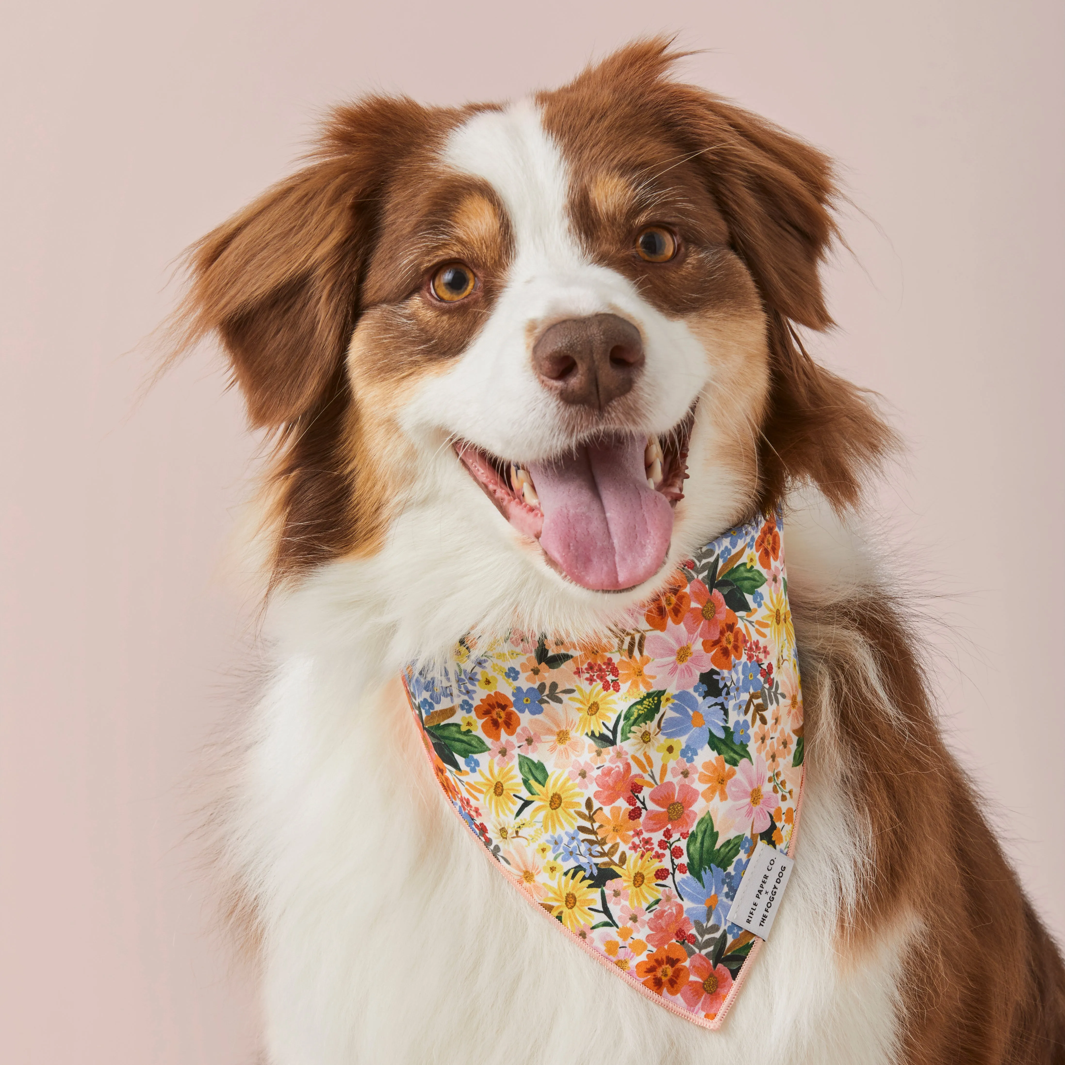 Rifle Paper Co. x TFD Marguerite Dog Bandana