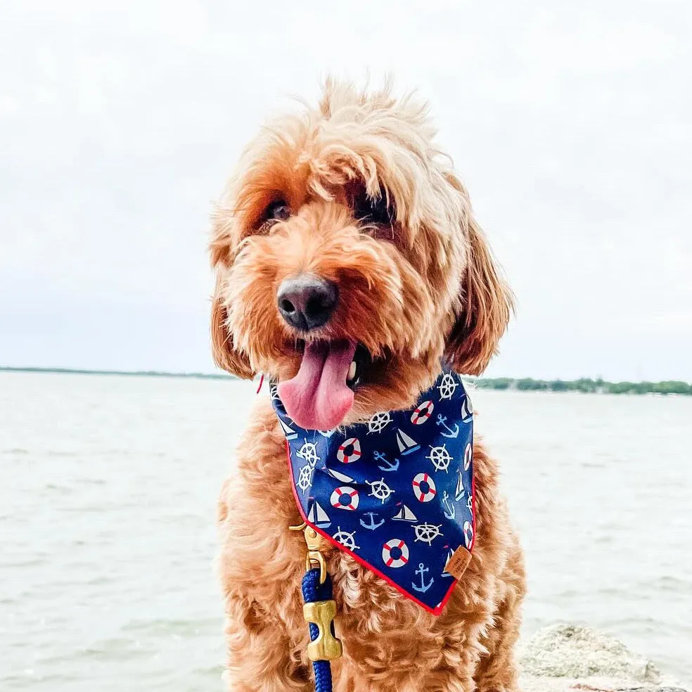 Sail Away Dog Bandana