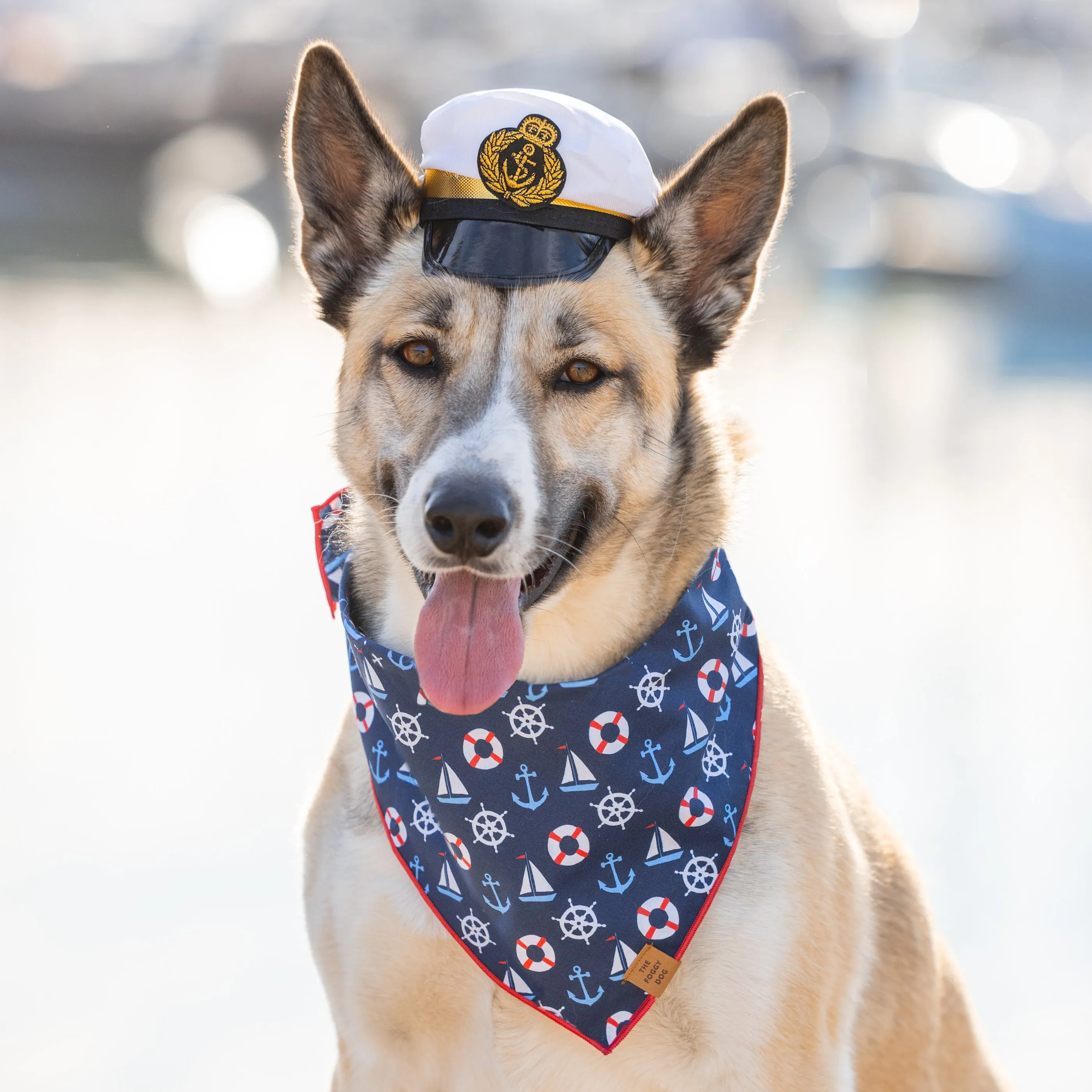 Sail Away Dog Bandana